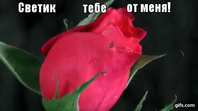 Спасибо светик картинки
