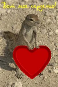 10-11-42-65-jpg.330102