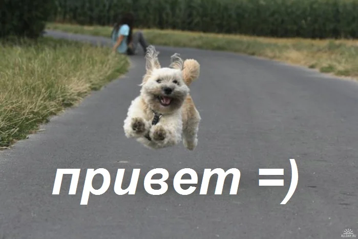 Привет как дела прикольное