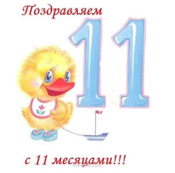 �������� � 11 ������� �������, ���� ����