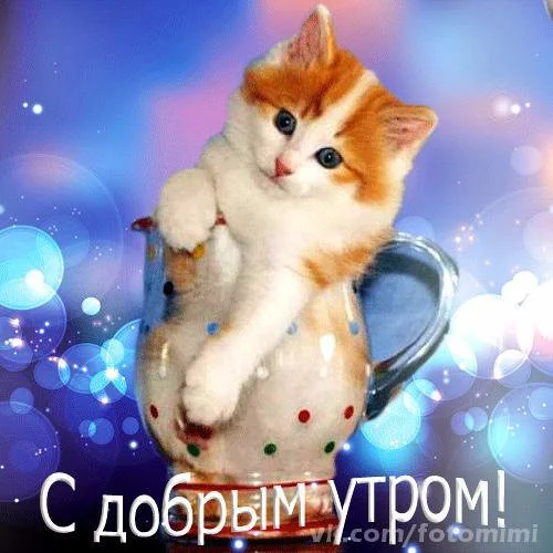 Картинки с добрым утром ленусик
