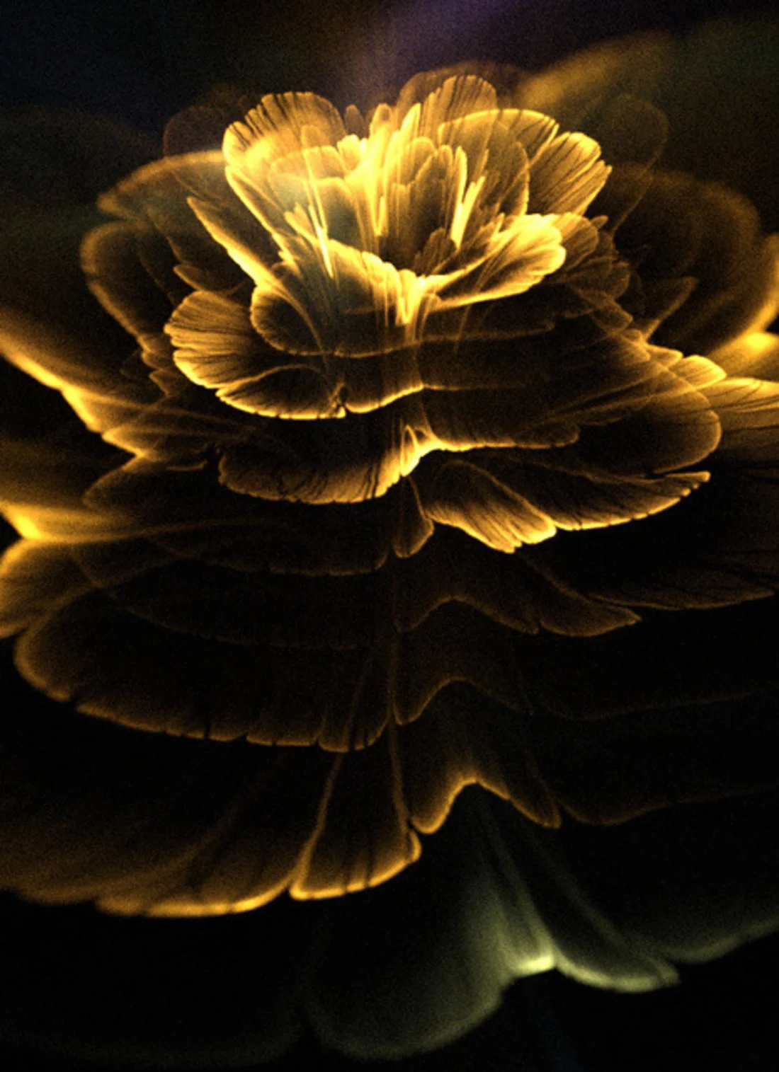 1236472-jpg.478892