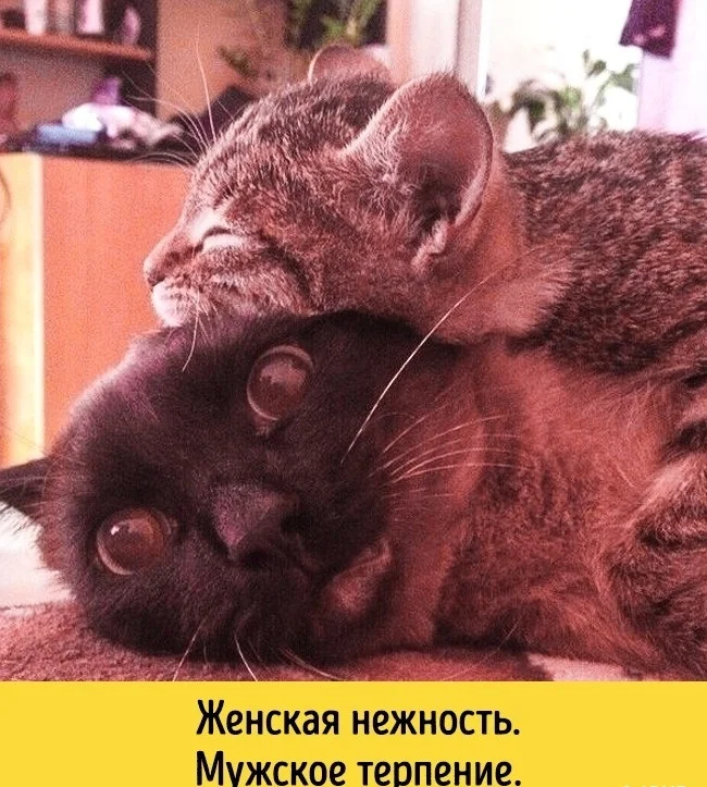 1450257116_1450251731_560908ed81254-jpg.421151