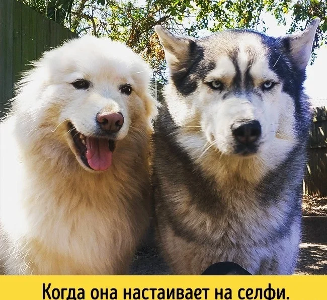 1450257116_1450251731_560908ed81254-jpg.421153