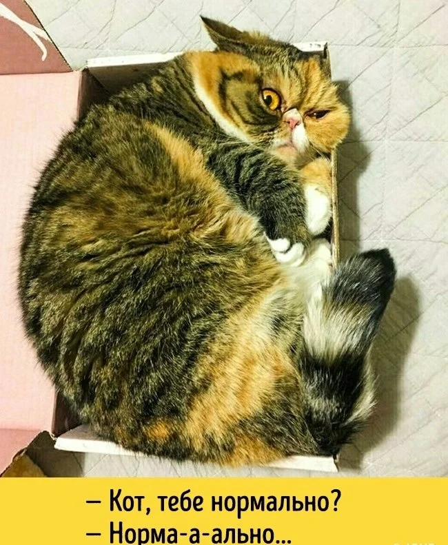 1450257116_1450251731_560908ed81254-jpg.421157