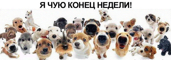 1465930905_2241-gif.728071