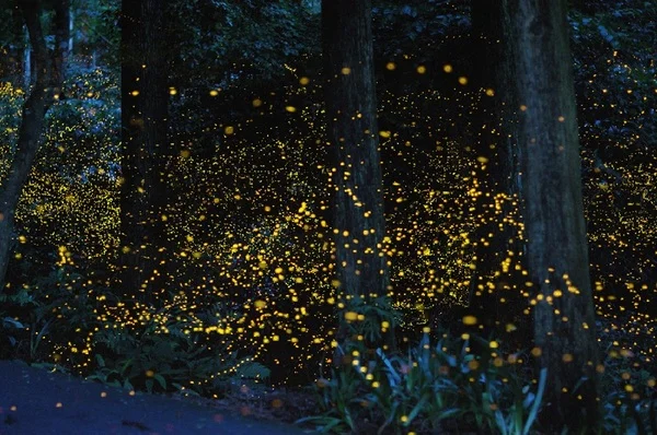 1482553021110256766-jpg.1109573