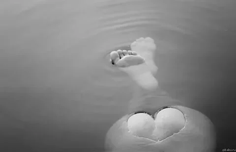 15-32-51-i-jpg.330118