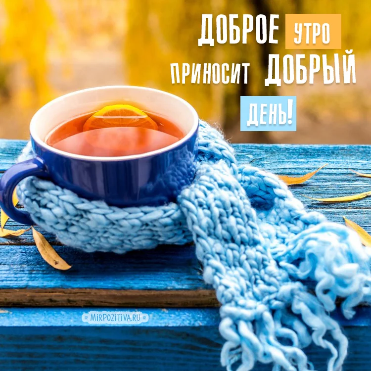 1535384504_0009-jpg.780295