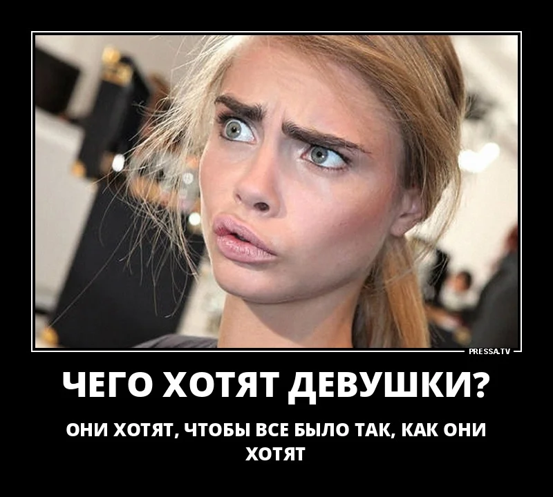 1538460845_d15-jpg.712998