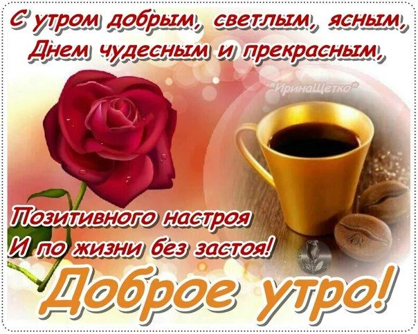 Добрый день марина