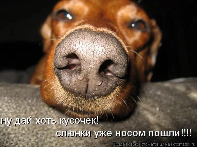 Слюни текут картинки прикольные