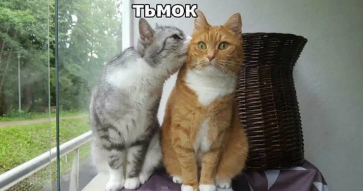 Картинки тьмок тебя