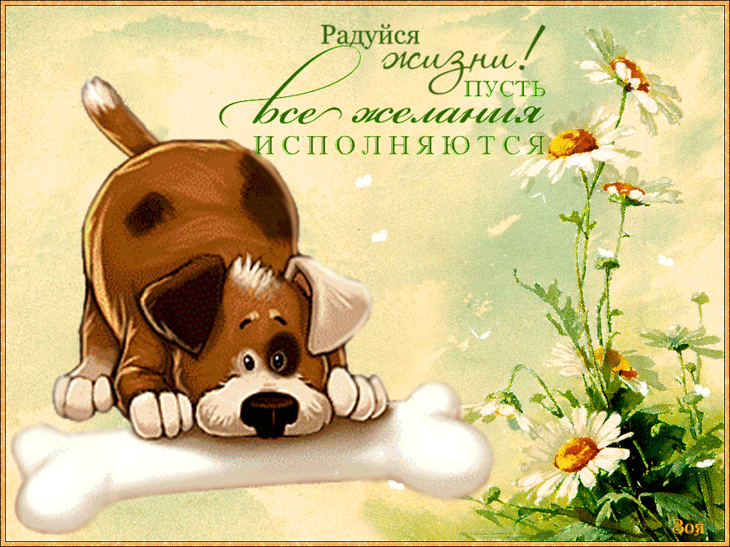 Пусть тебя все обожают. Добрый день открытки собака. Открытка радости. Радостные открытки. Открытки радоваться жизни.