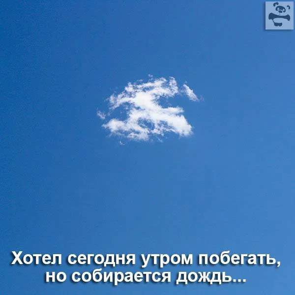 Кажется дождь собирается картинки прикольные