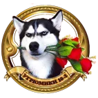 15638847-png.797376