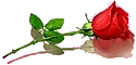 1566916797854-png.999986