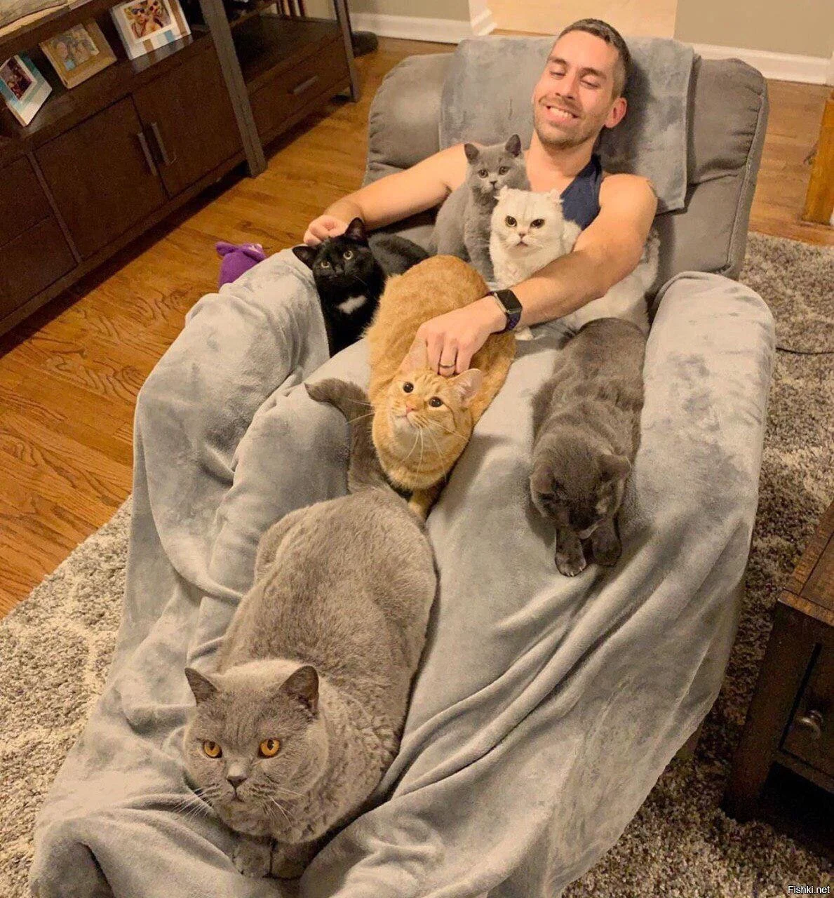 сильный и независимый мужчина с котами. сильный и независимый мужчина. сильный и независимый мужчина. сильный и независимый мужчина мем. сильный и независимый мужчина.