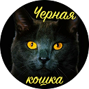 1571516860836-png.1028521