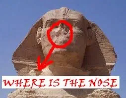 1580822532028-png.1114966