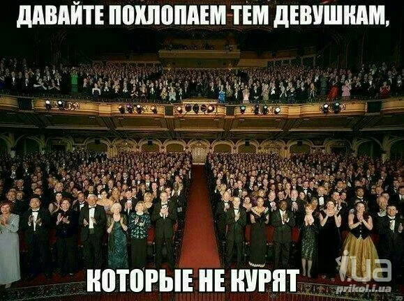 15b3717b68fa460bc1c3106274dfb24b-jpg.629998