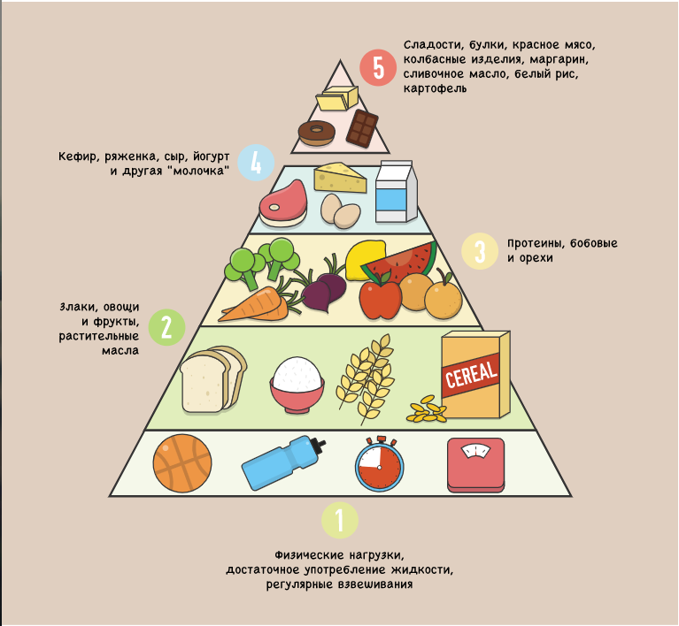 Укажите уровни пищевой пирамиды начиная с продуктов. Пирамида здорового питания Гарвард. Пищевая пирамида Уолтера виллетта. Пирамида питания здорового человека Гарвардская. Пирамида питания Гарвардского университета.