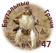 1618593709158-png.1404011