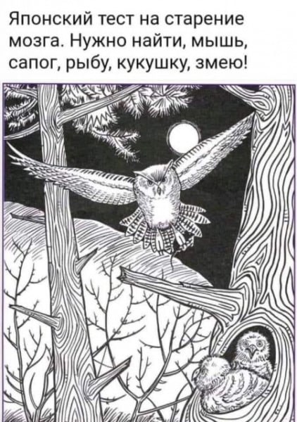 1638276611-jpg.1538929