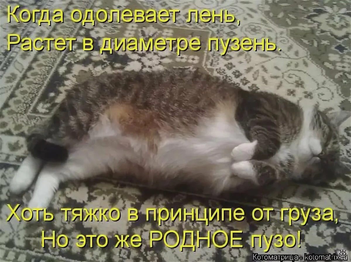 Почему люди ленятся. Лень бывает. Польза лени. Лень рисунок. Лень бывает.