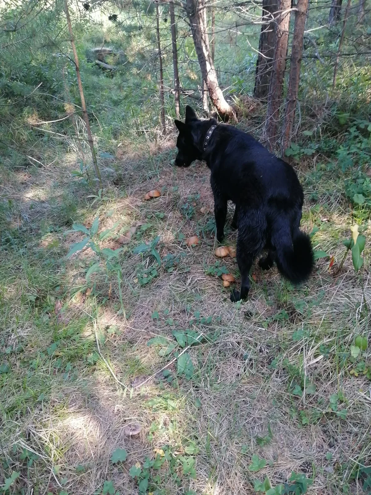 1698774017710-png.1908658