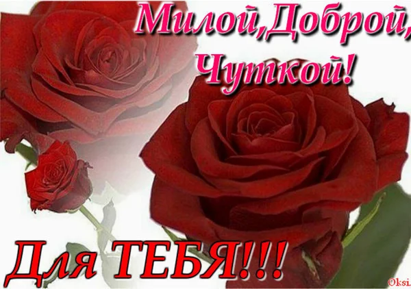 Прекрасный день для милой Милы
