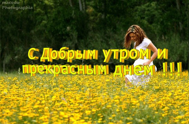 Жизнь продолжается картинки с добрым утром