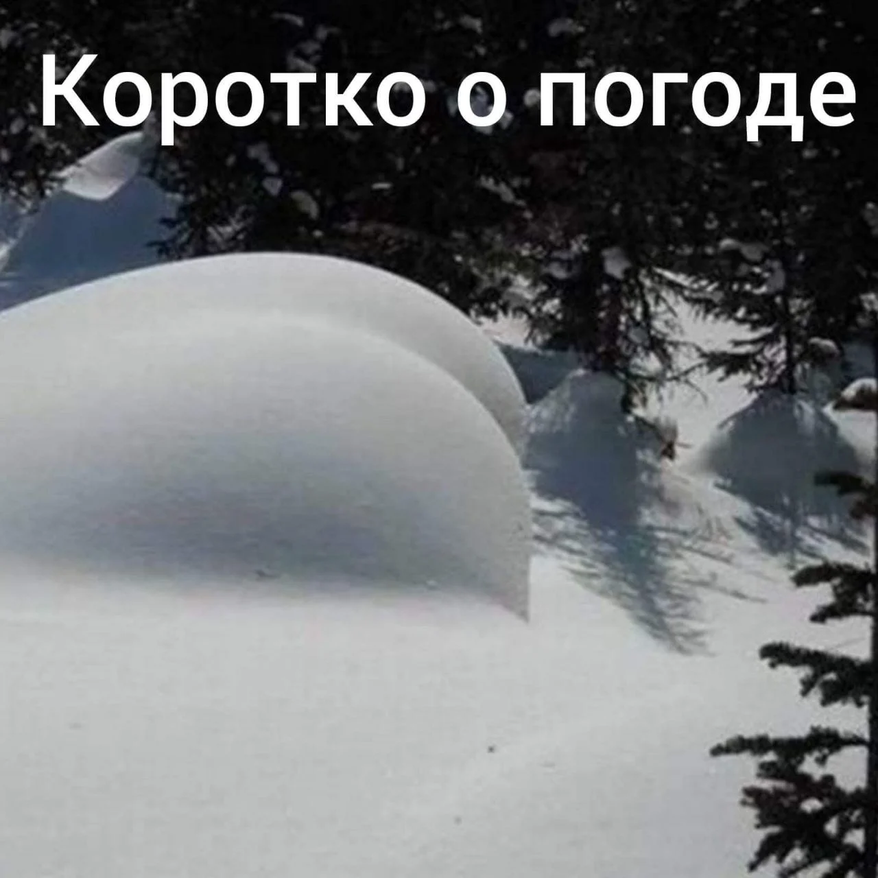 Я такой холодный нажимаю газ в пол