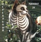 1demotivator-jpg.1501840