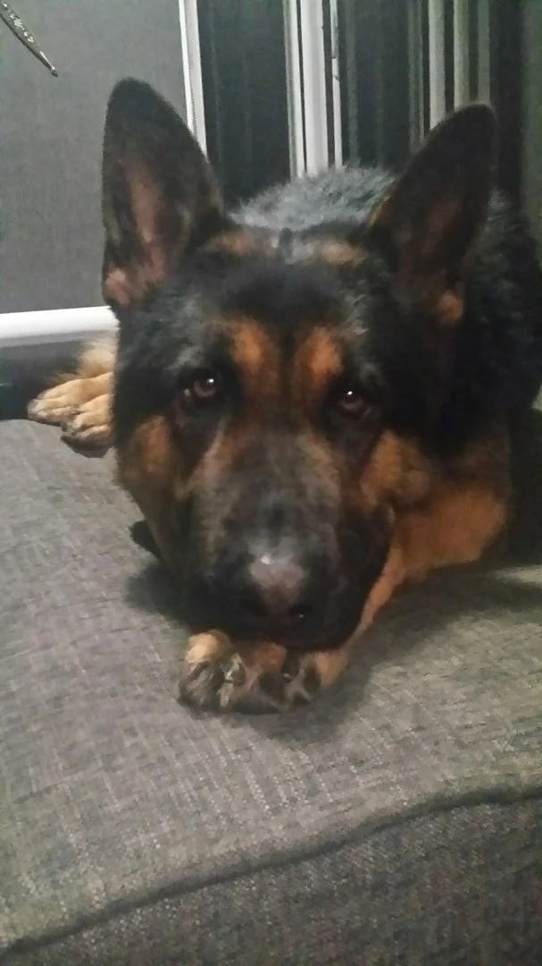 1lii2-jsn-c-jpg.1105204