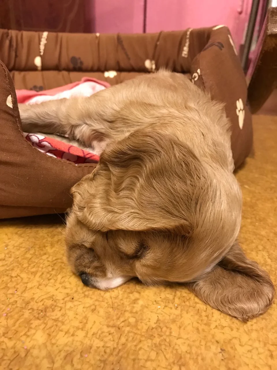 2017-09-12-20-57-53-jpg.1105139