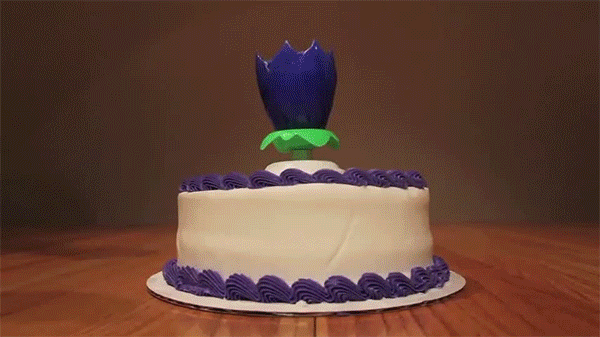 2018-11-16-23-22-00-gif.751439