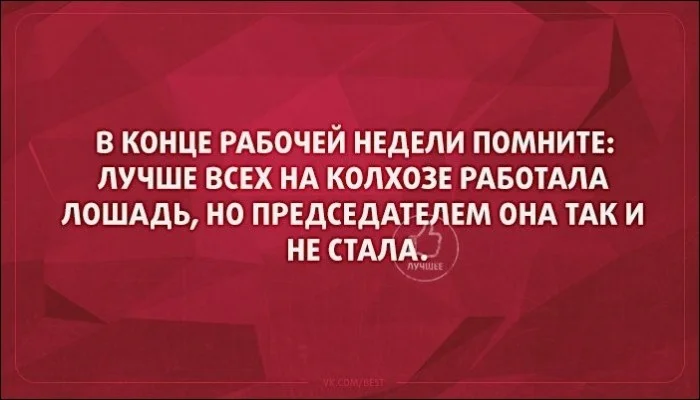 Больше всех в колхозе работала лошадь но председателем так и не стала картинки