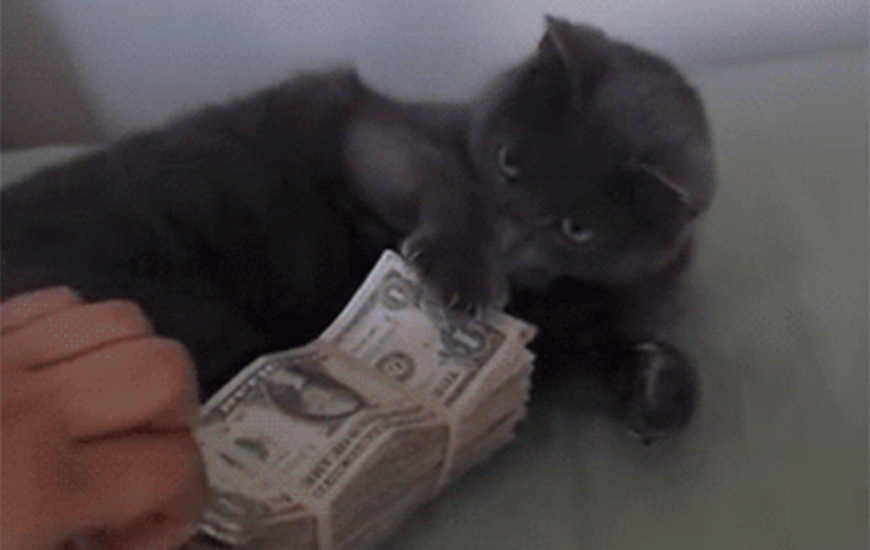 2019-09-07-09-45-09-gif.993582
