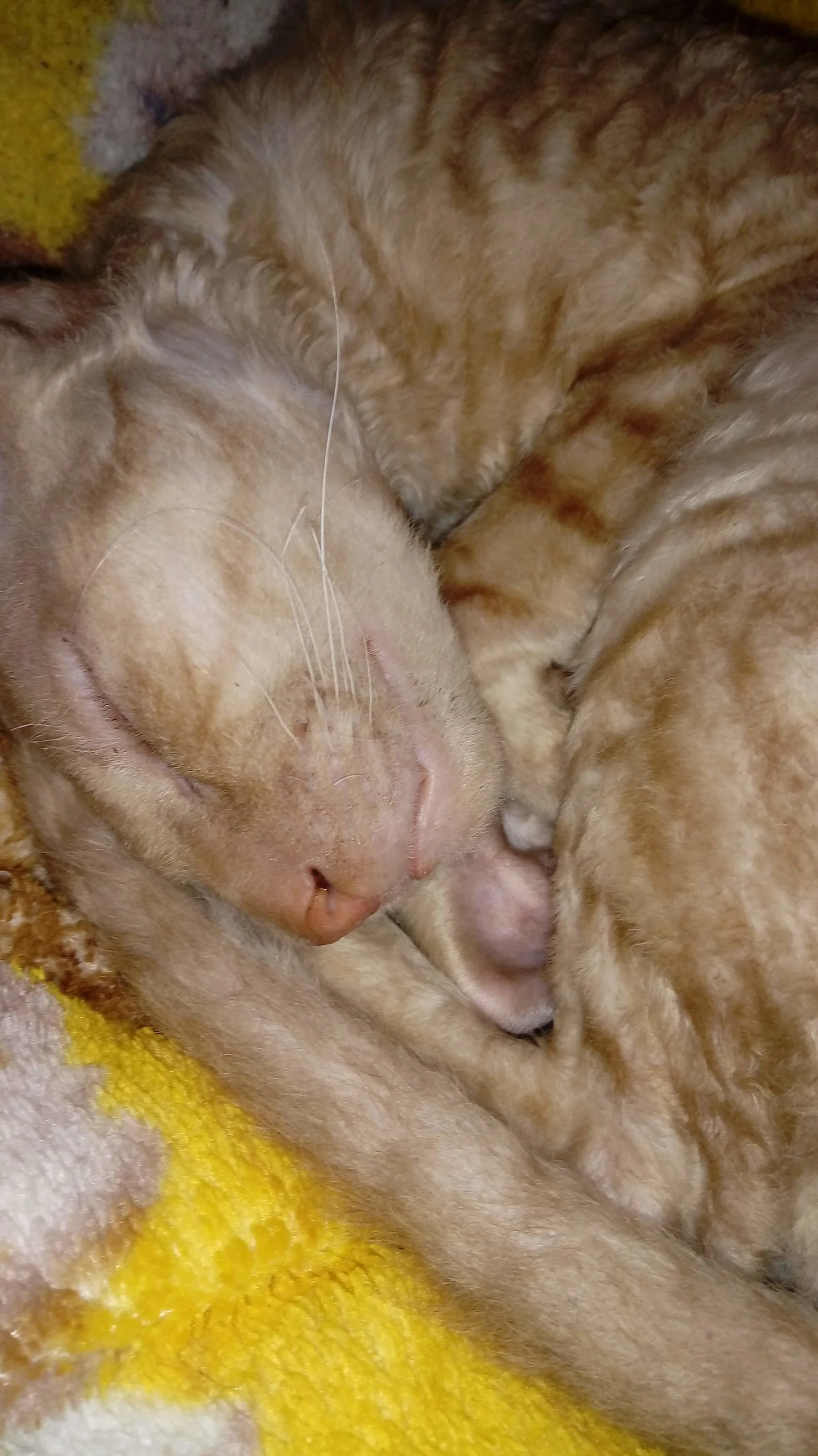 20191109_001930-jpg.1105250