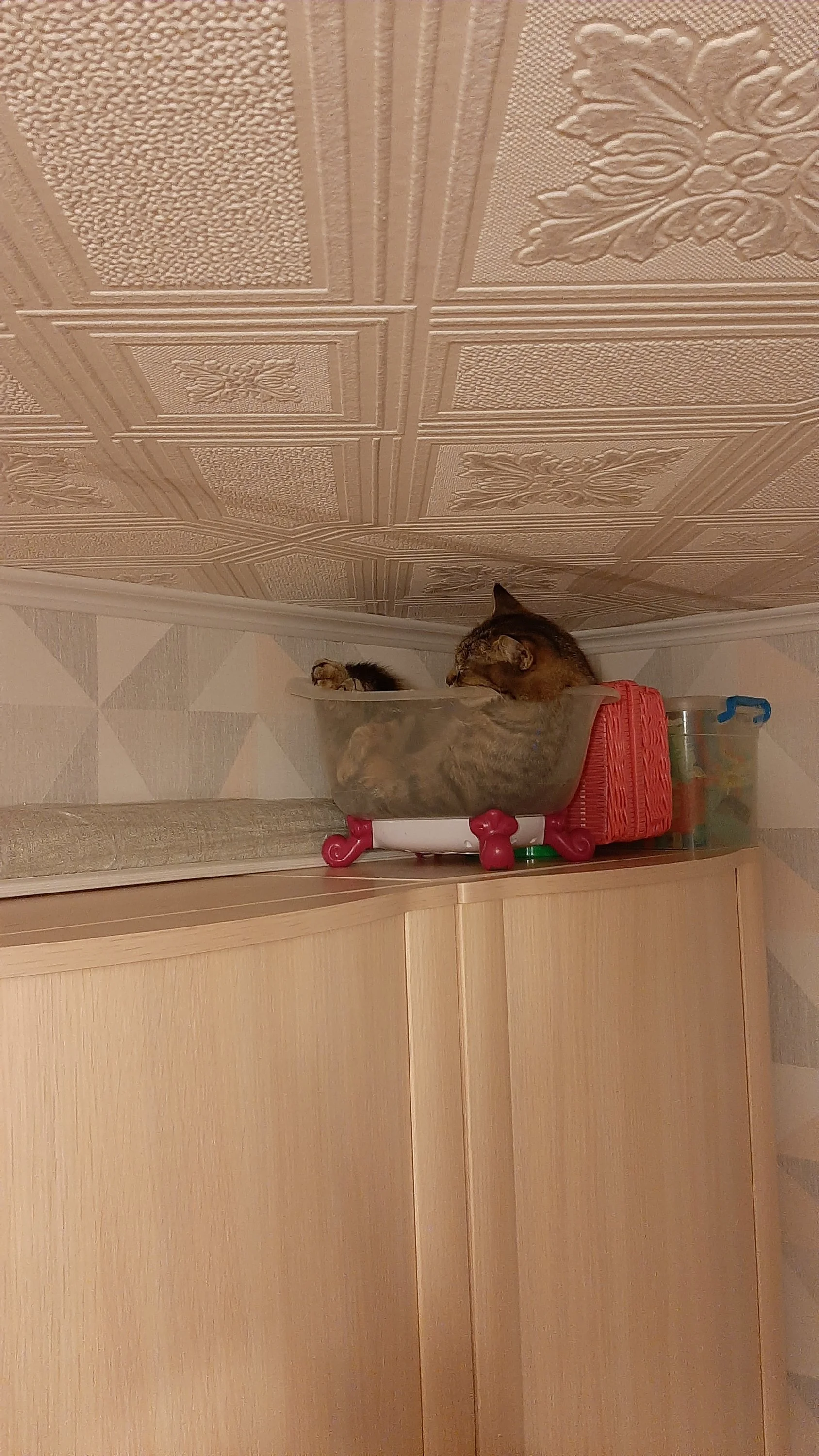 20200102_001553-jpg.1105260