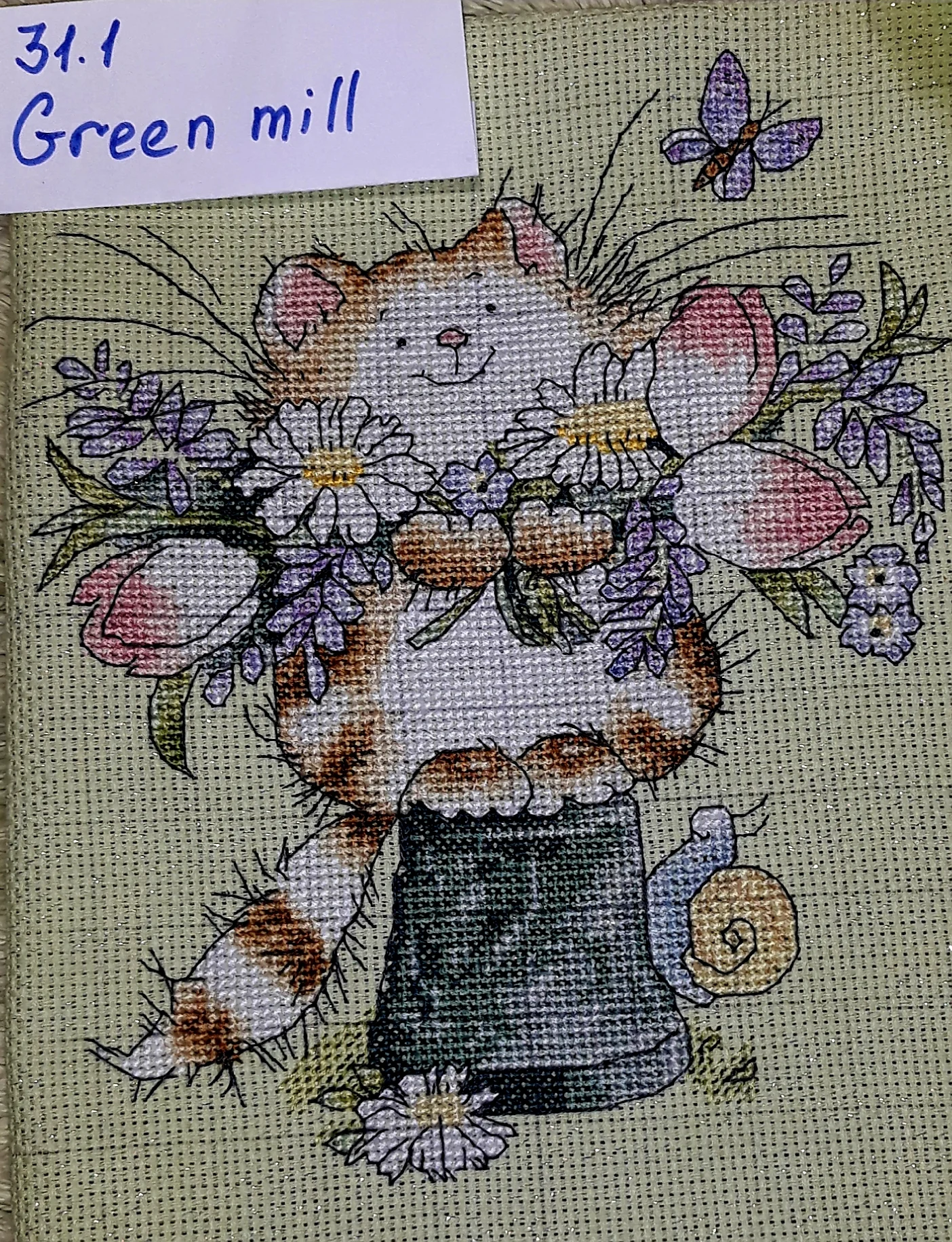 20200121_013018-jpg.1103965