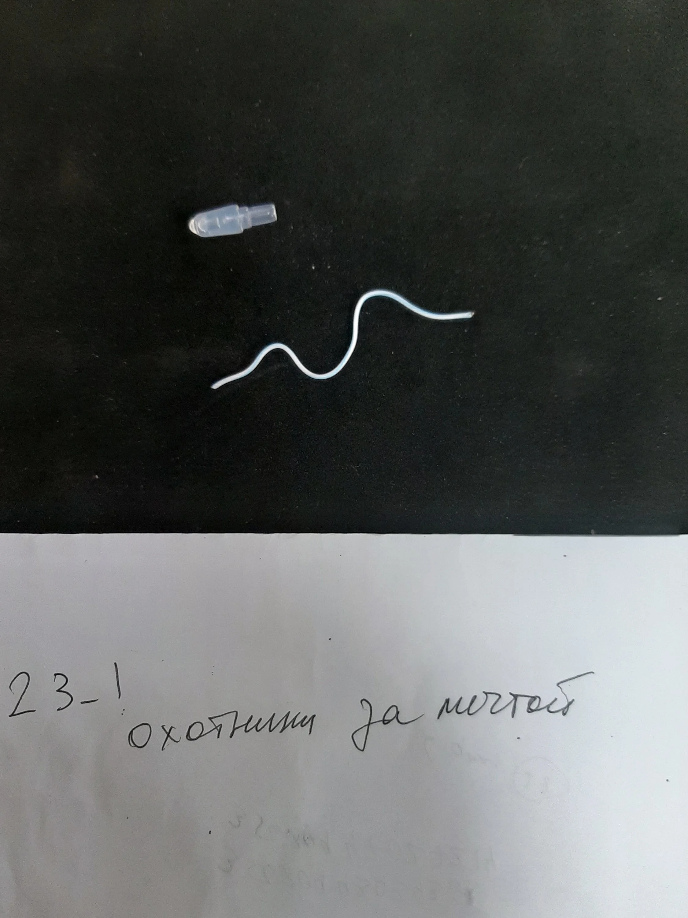 20200605_173738-jpg.1208193