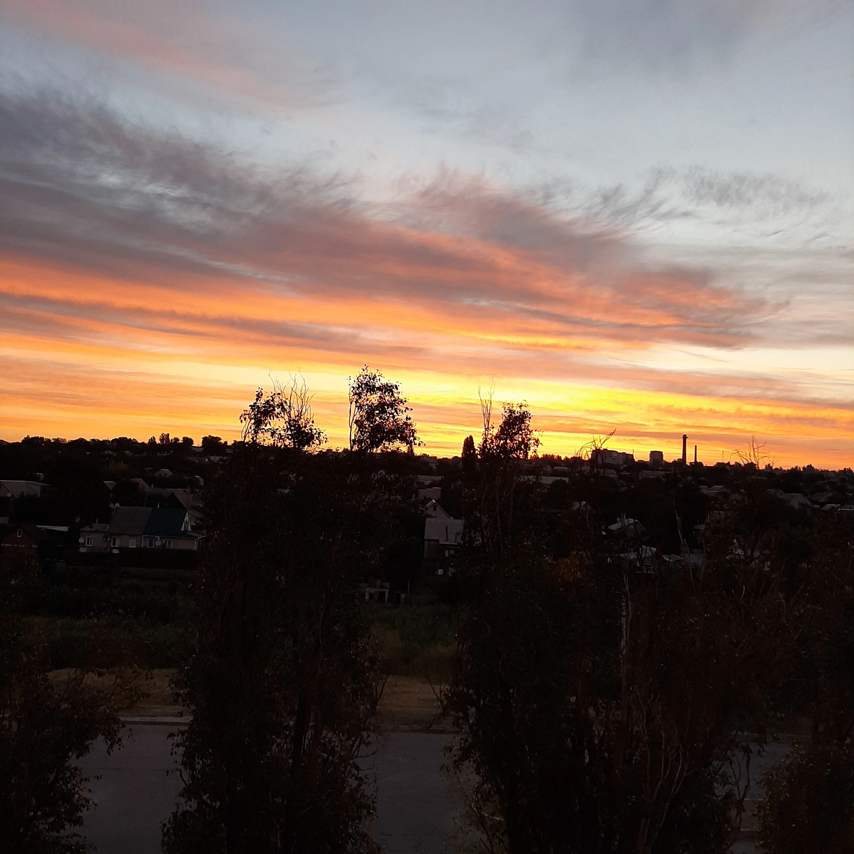 20200828_054650-jpg.1394374