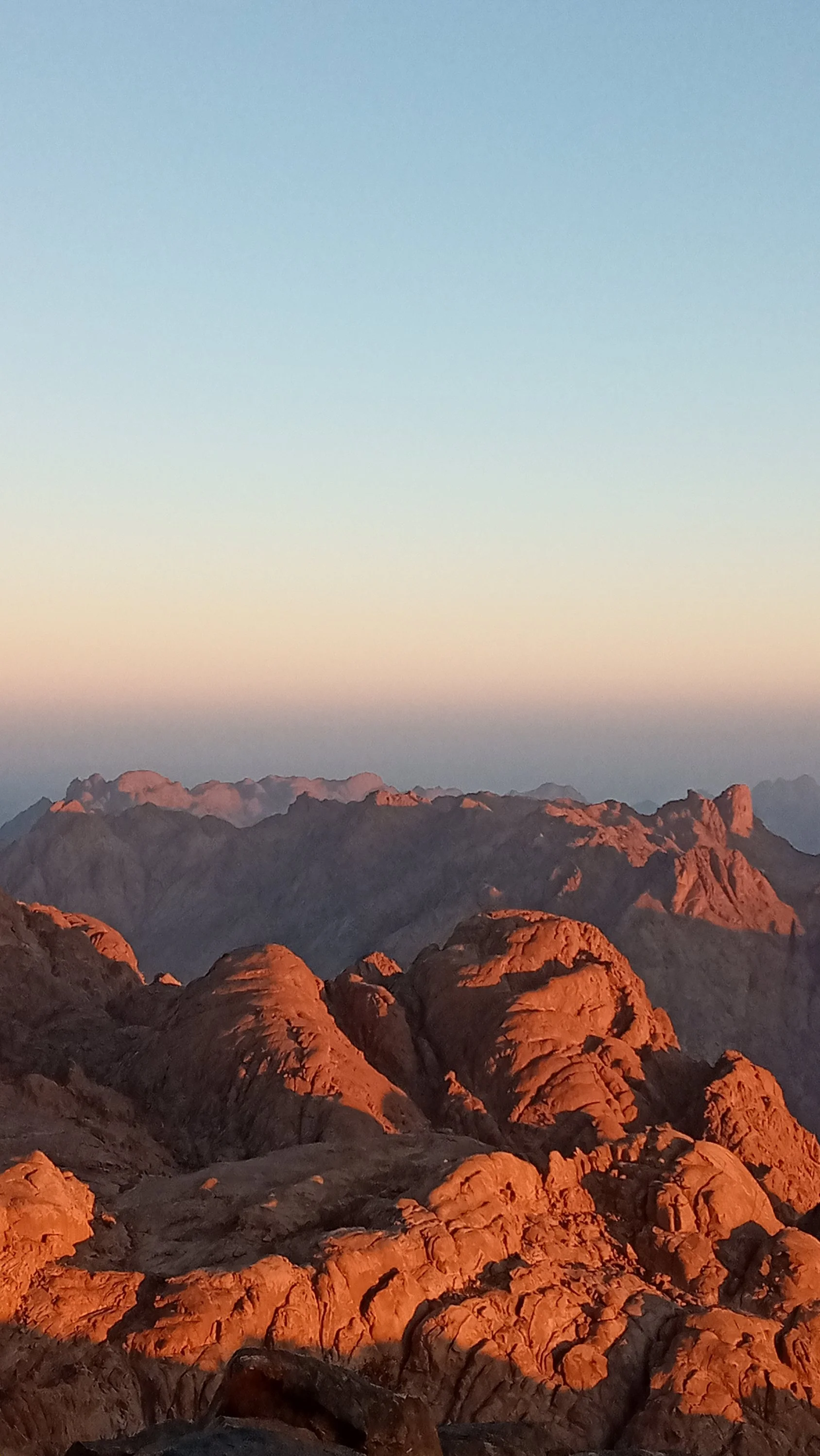 20201112_061121-jpg.1394414