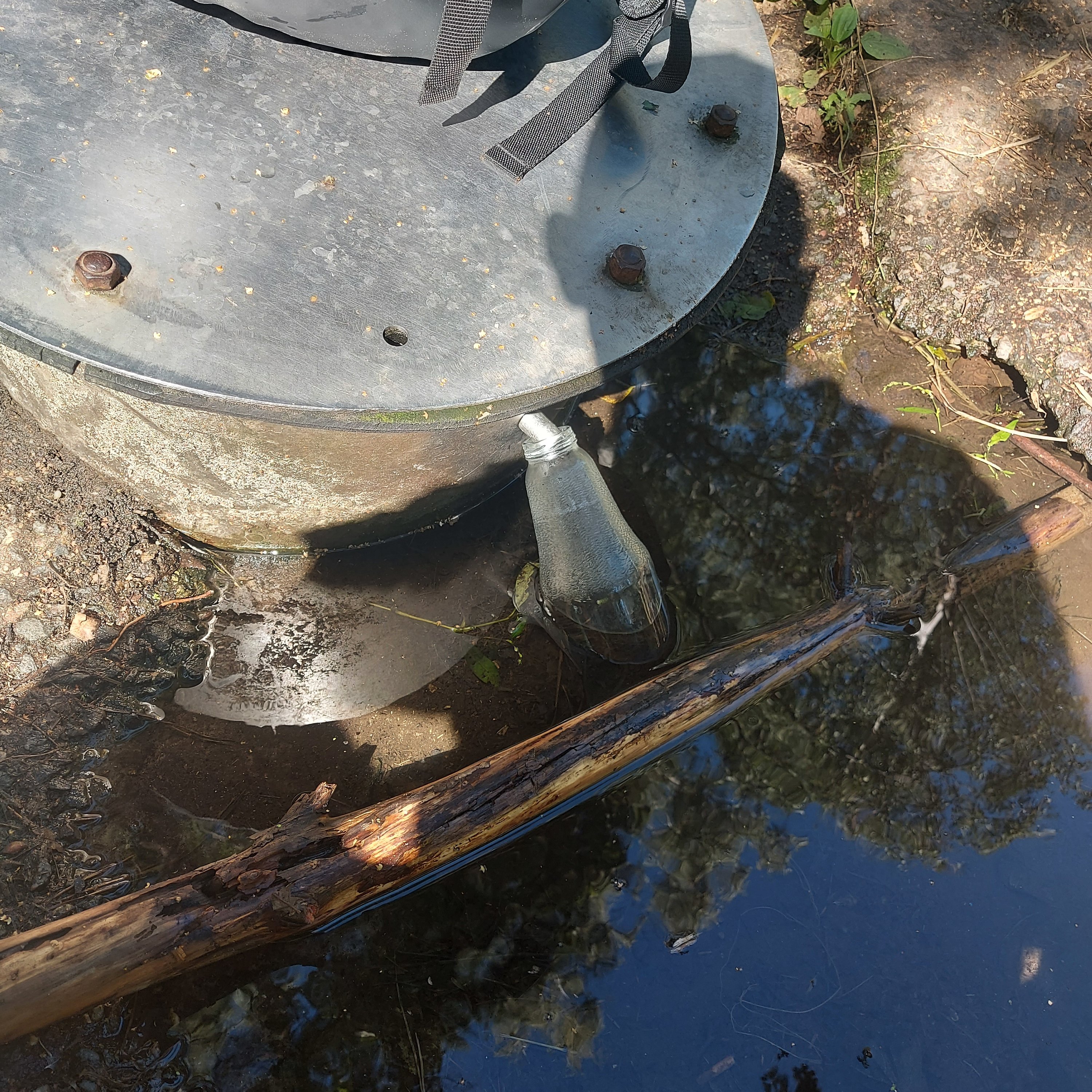 20220908_115249-jpg.1668015