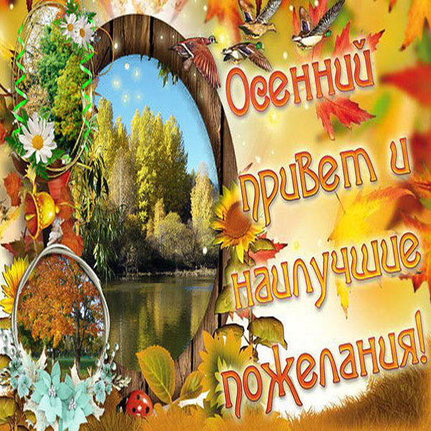 Доброго осеннего дня картинки красивые с пожеланиями. Осенние открытки с пожеланиями. Красивые осенние пожелания. Открытки с осенью с пожеланием. Открытки с добрым днём осенние.