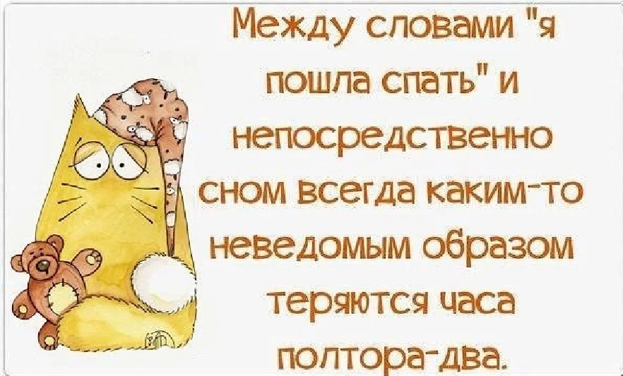 24968651-png.727167