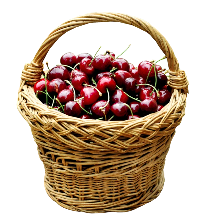 25574059-png.880373