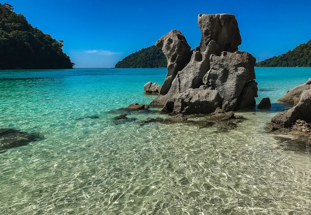 27736428579_64970e7ed4_b-jpg.662598